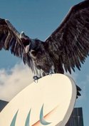 „La Brea“ Staffel 2: Es kommen wohl 14 Episoden – vielleicht mit Staffelpause?