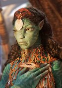 „Avatar 2“-Star konnte Stunt-Rekord nicht fassen: „Bin ich tot? Bin ich gestorben?“
