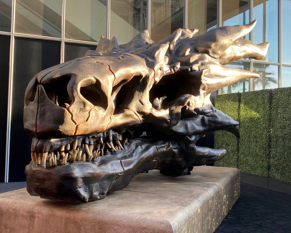 Schädel des Drachen Balerion