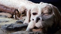 Nach über 40 Jahren: So sehen die Stars aus „Die unendliche Geschichte“ heute aus