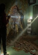 „The Last of Us“: Cordyceps gibt es wirklich – die Pilz-Pandemie in der Serie erklärt