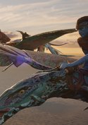Obwohl sie das Kino sprengt: Mega-Version von „Avatar 3“ könnte trotzdem kommen