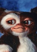 Gremlins sind nach 33 Jahren zurück: Seht den ersten Trailer zu „Secrets of the Mogwai“