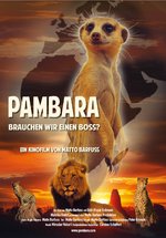 Poster Pambara