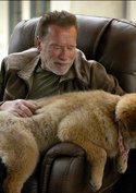 Schlimmer Ärztepfusch: Arnold Schwarzenegger wäre fast gestorben
