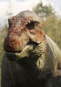 Neues Highlight vom „Jurassic Park“-Regisseur für Dino-Fans: Steven Spielberg erobert Netflix-Charts
