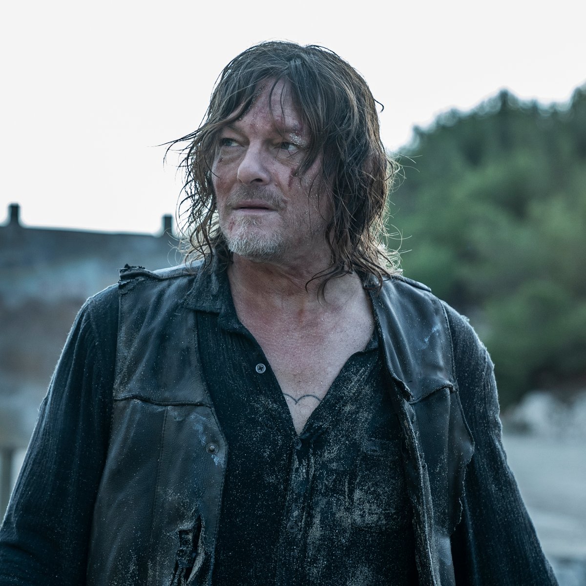 daryl-dixon-the-walking-dead-daryl-dixon-the-book-of-carol-where