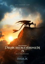 Poster Drachenzähmen leicht gemacht