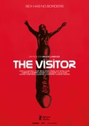 The Visitor