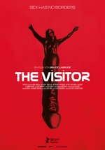 Poster The Visitor