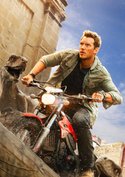 Nach Actionstar Chris Pratt: Diese Marvel-Kollegin soll ihn in „Jurassic World 4“ angeblich beerben