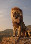 Erstes Bild zu neuem „König der Löwen“: Ungewöhnlichster Disney-Film seit Langem startet noch 2024