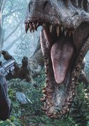 Grund zur Sorge? Darum erteilte „Top Gun: Maverick“-Star „Jurassic World 4“ eine Absage