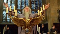 „Harry Potter“: Diese 20 Stars aus den Filmen sind bereits verstorben