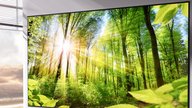 Dieser geniale 4K-Laser-Beamer hat bei mir zu Hause den Fernseher ersetzt – jetzt ist er bei Amazon reduziert