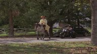 Pippi Langstrumpfs neueste Streiche