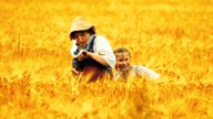 Hände weg von Mississippi