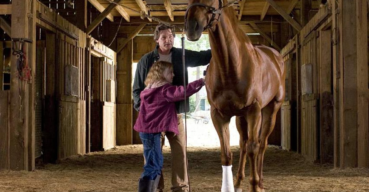 Dreamer Ein Traum Wird Wahr Ganzer Film Dreamer - Ein Traum wird wahr · Film 2006 · Trailer · Kritik