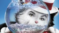  Ein Kater macht Theater