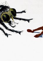 Die Fliege