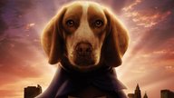 Underdog - Unbesiegt weil er fliegt