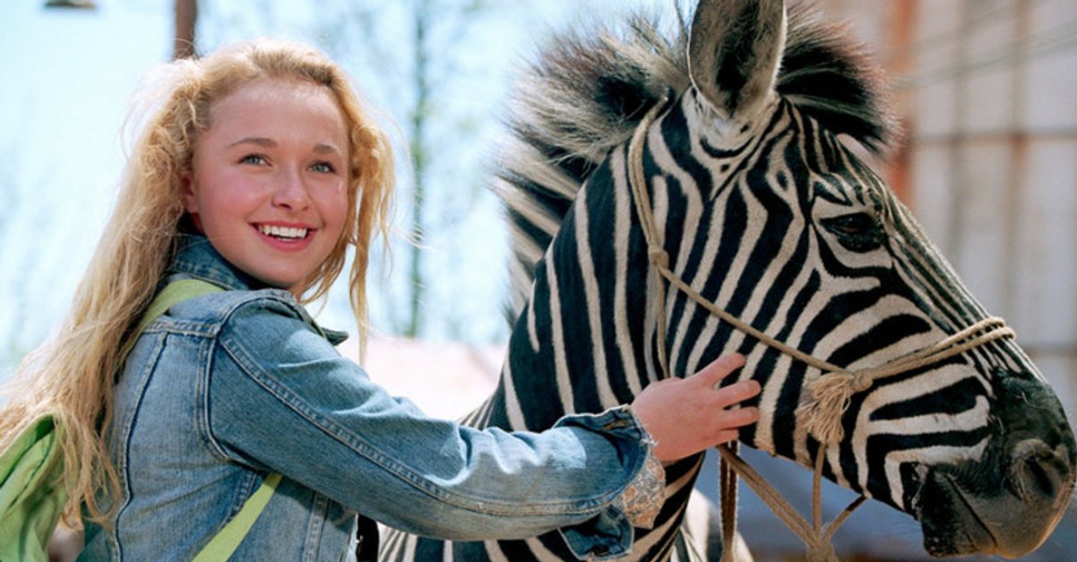 Stripes Im Rennstall Ist Das Zebra Los Ganzer Film Deutsch Im Rennstall ist das Zebra los! · Film 2005 · Trailer · Kritik