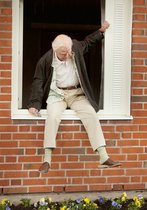 Der Hundertjährige, der aus dem Fenster stieg und verschwand