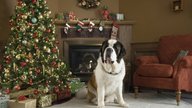  Beethovens abenteuerliche Weihnachten