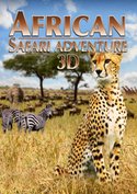 African Safari Adventure