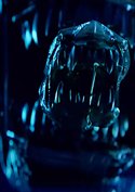 Erster knackiger Horror-Trailer: Dieses „Alien“-Projekt spielt wieder auf der Erde