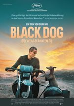 Poster Black Dog - Weggefährten