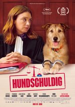 Poster Hundschuldig