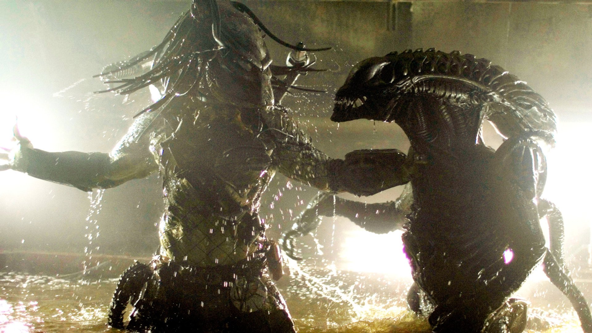 Genial Sci Fi Horror Alien vs. Predator 3 soll beide Filmreihen starker verbinden