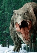 „Jurassic World 4“: Seht Marvel-Star Scarlett Johansson als harte Dino-Jägerin auf neuem Bild