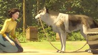 Die Abenteuer von Wolfsblut