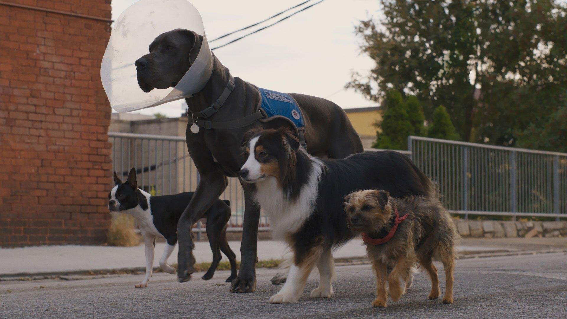 Doggy Style · Stream | Streaminganbieter
