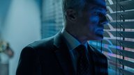 The Consultant