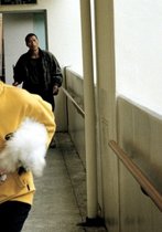 Hunde, die bellen, beißen nicht
