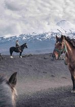 The Road to Patagonia