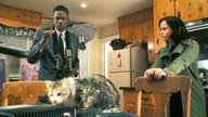 That Darn Cat