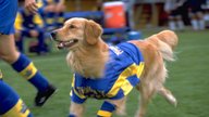 Air Bud - World Pup