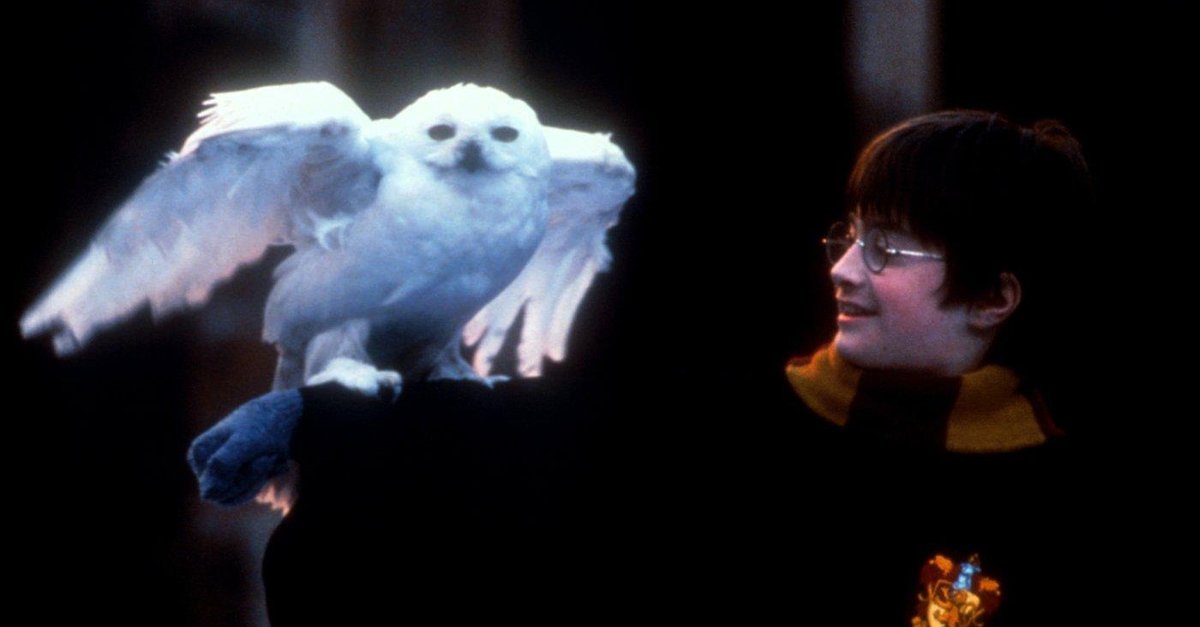 Harry Potter Und Der Stein Der Weisen Stream Free Harry Potter und der Stein der Weisen · Stream | Streaminganbieter