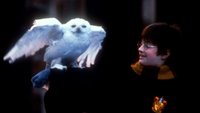 Harry Potter und der Stein der Weisen