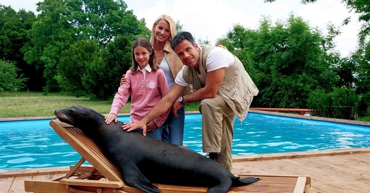 Hallo Robbie! · Serie im Stream online ansehen, alle Anbieter und News
