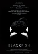 Blackfish