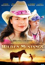 Poster Das Geheimnis des wilden Mustangs