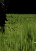 The Hunt