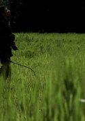 The Hunt