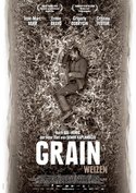 Grain - Weizen