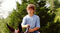 Tommy and the Cool Mule